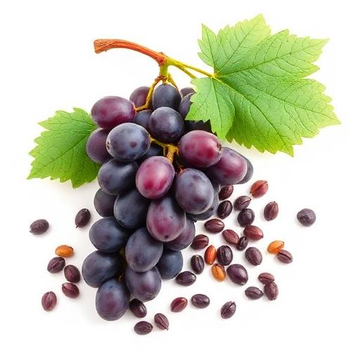 Grape Seed Extract